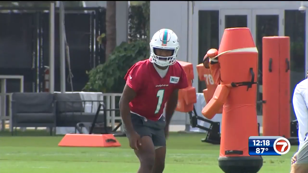 Miami Dolphins kick off their training camp