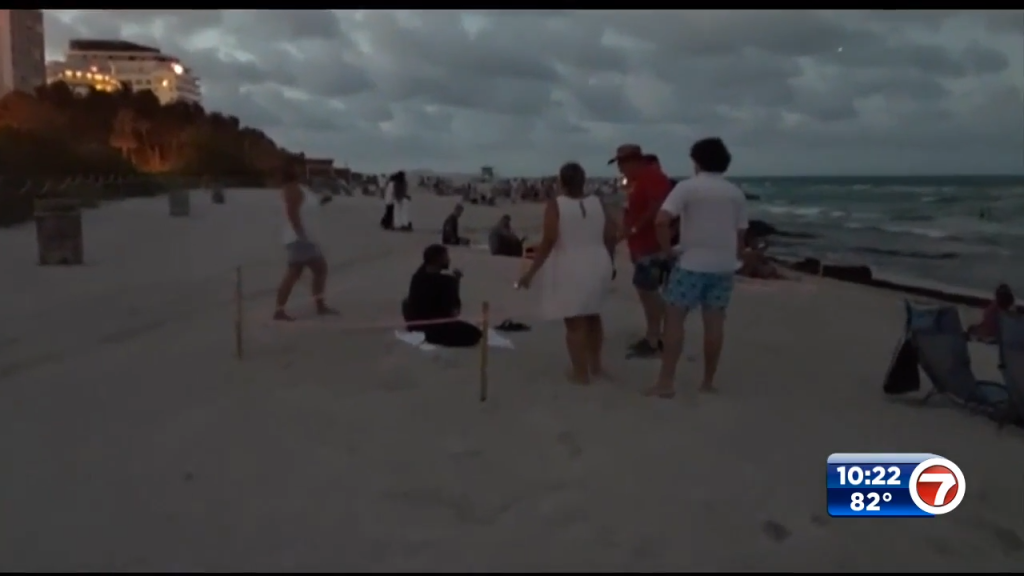 Cellphone video shows Miami Beach man standing on top of protected turtle eggs in nesting area; beach goers confront man – WSVN 7News | Miami News, Weather, Sports