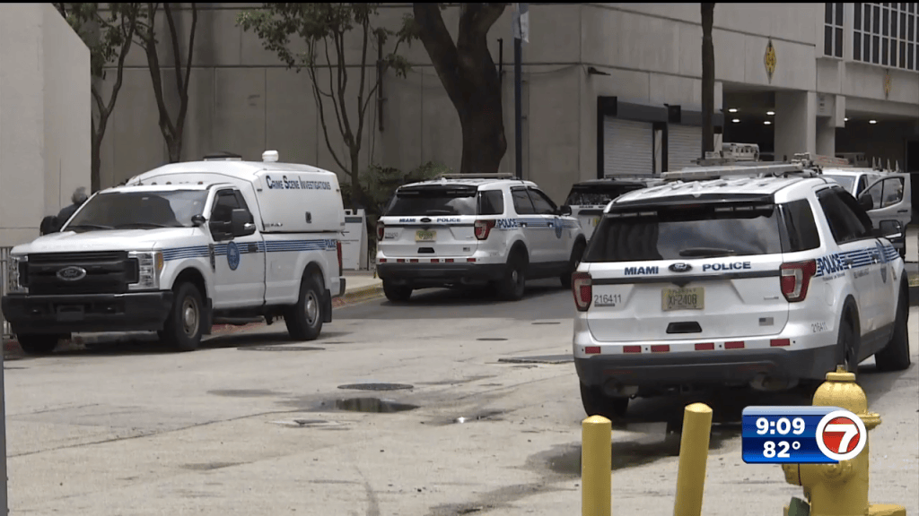 Miami-Dade – Page 9 – WSVN 7News | Miami News, Weather, Sports | Fort ...