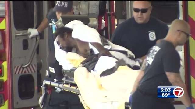 Police: dog mauls man who taunted 2 women in Fort Lauderdale - WSVN ...
