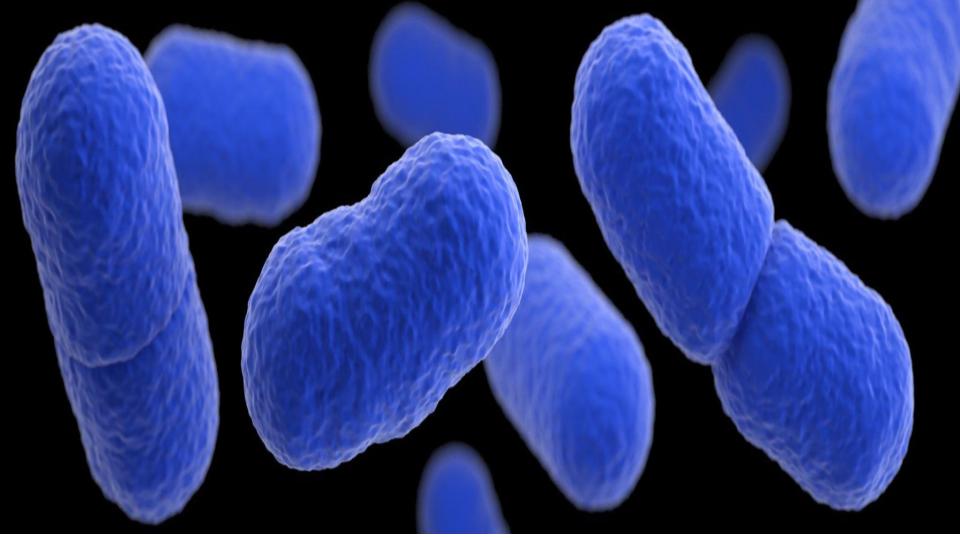 CDC investigating Listeria outbreak linked to Big Olaf Creamery brand