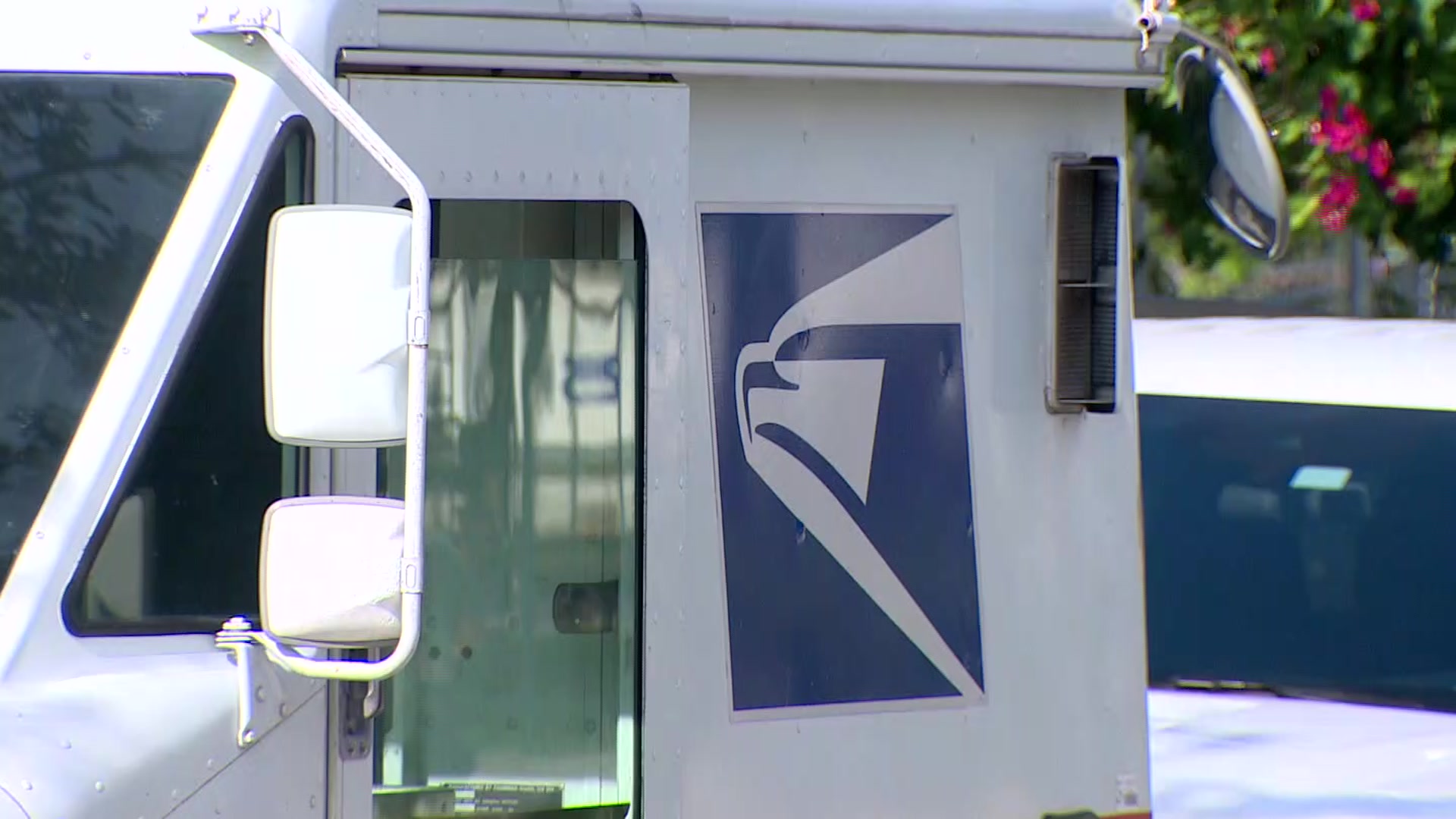 Florida mail carrier dies after being attacked by dogs WSVN 7News