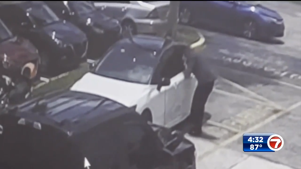 Surveillance captures car thief stealing $10K worth of camera equipment ...