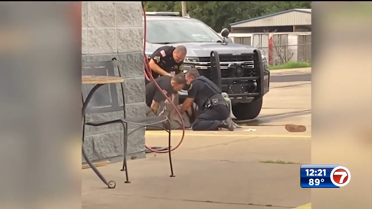 3 Arkansas officers suspended after video captures beating - WSVN 7News ...