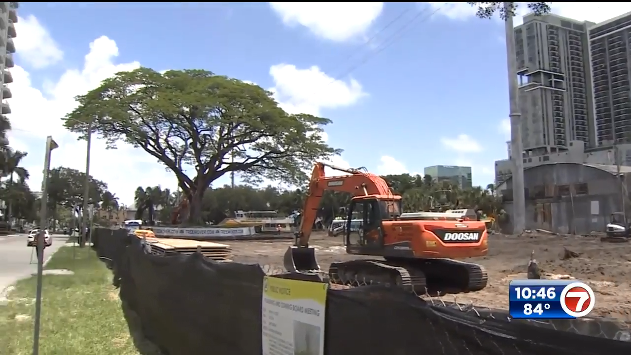 Historic raintree relocates to Fort Lauderdale park WSVN 7News