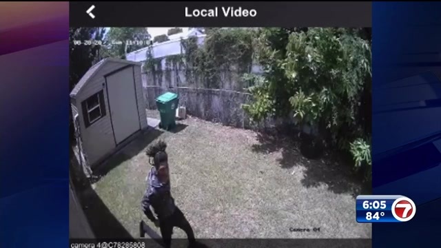 1 in custody, 1 at large after crash in Miami involving parked car, bailout – WSVN 7News | Miami News, Weather, Sports