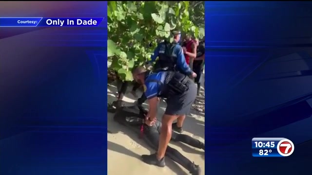 Personal watercraft driver in custody after fleeing from police off Miami park – WSVN 7News | Miami News, Weather, Sports