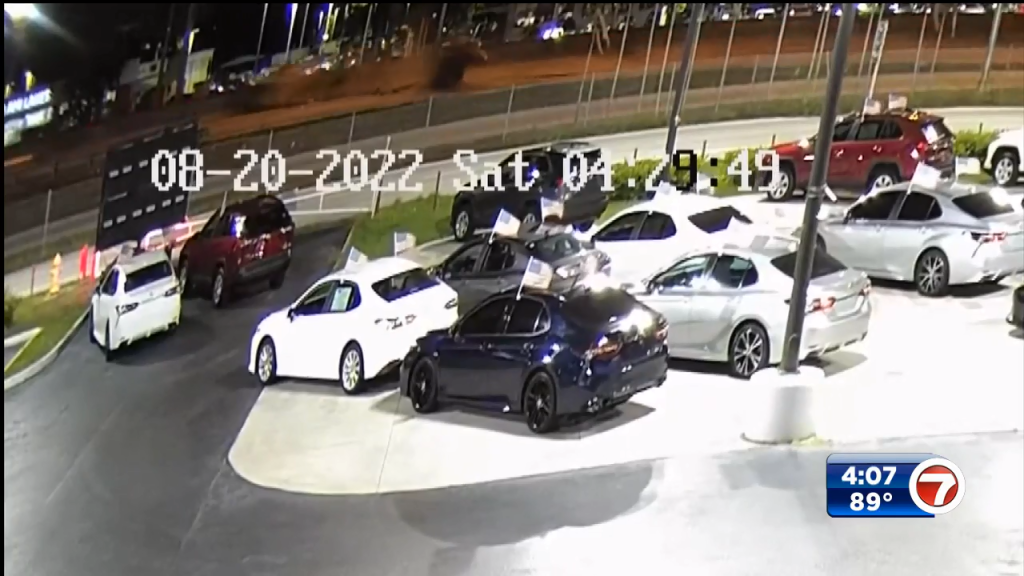 New video of wrongway wreck that killed 5 released by court WSVN