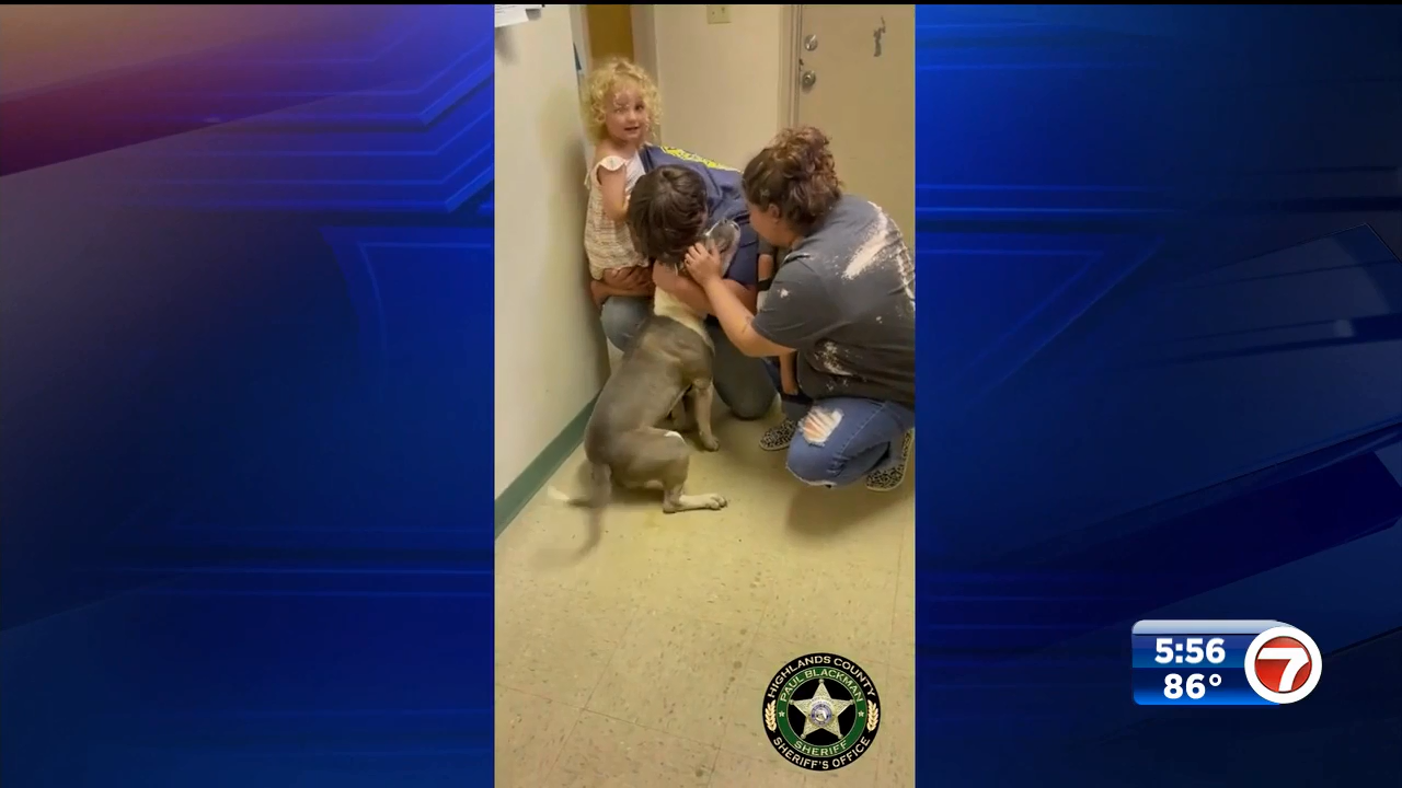 Dog missing for months reunited with owners in Central Florida thanks