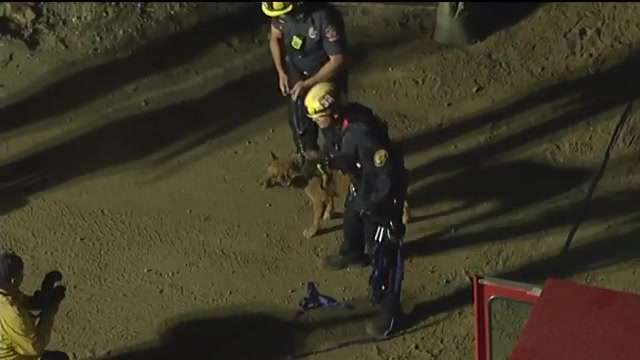 Pasadena firefighters rescue blind dog that fell down 15-foot hole at ...
