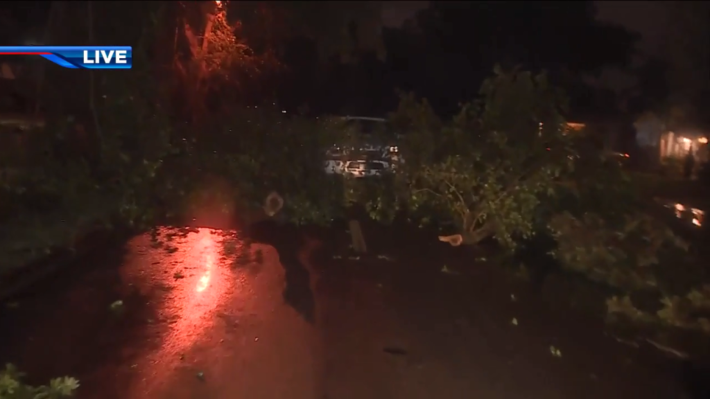Tornado touches down in several Broward County neighborhoods WSVN