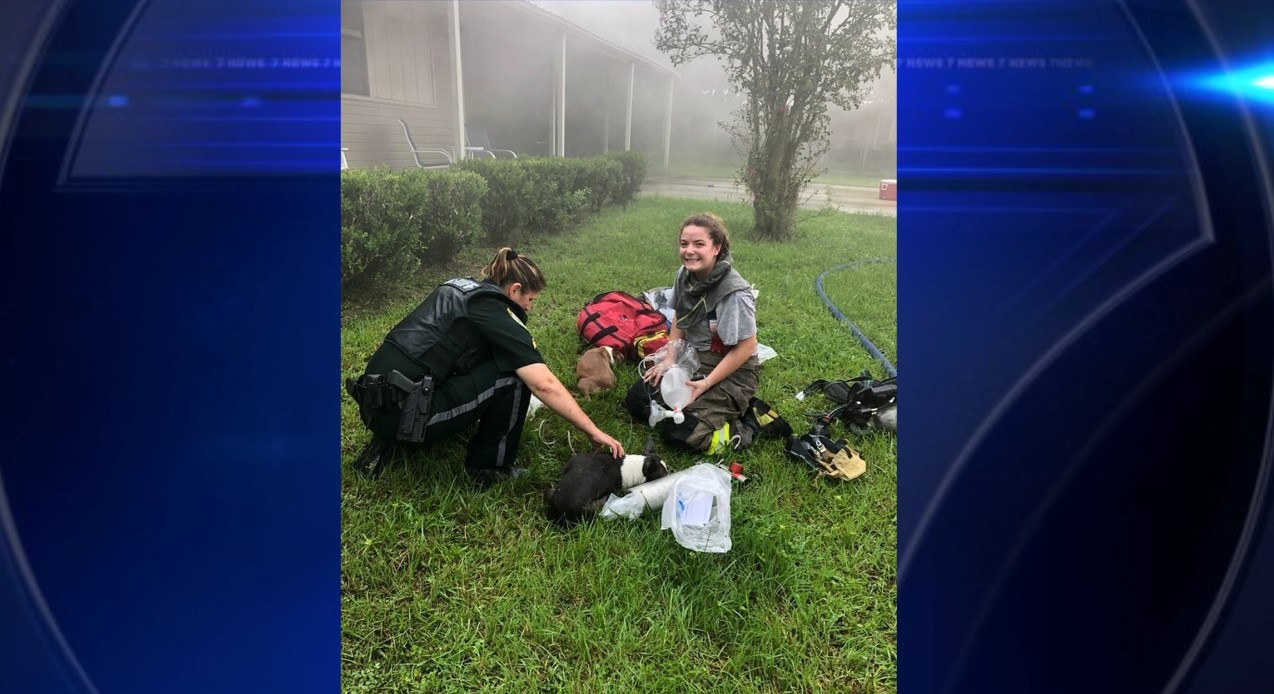 Delivery driver’s actions save pups from Florida house fire WSVN
