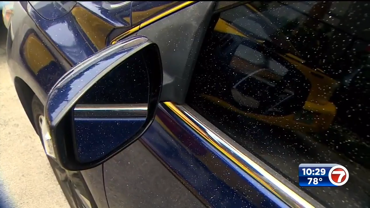 Cars Damaged by Spray Painting Crew WSVN 7News Miami News, Weather