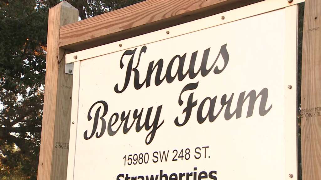221025 KNAUS BERRY FARM CLOSE UP WSVN 7News Miami News, Weather