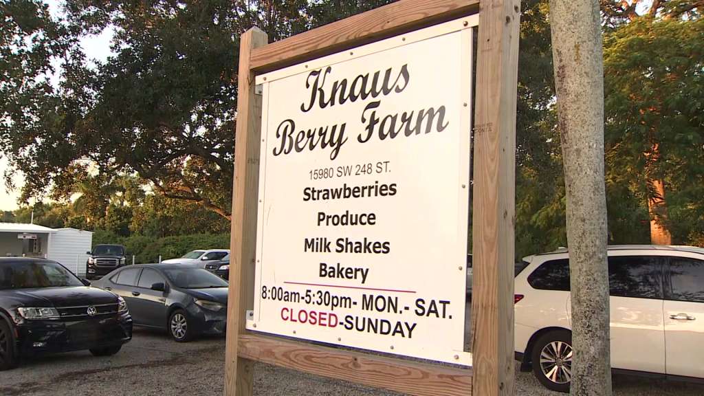 221025 Knaus Berry Farm Wsvn 7news Miami News Weather Sports