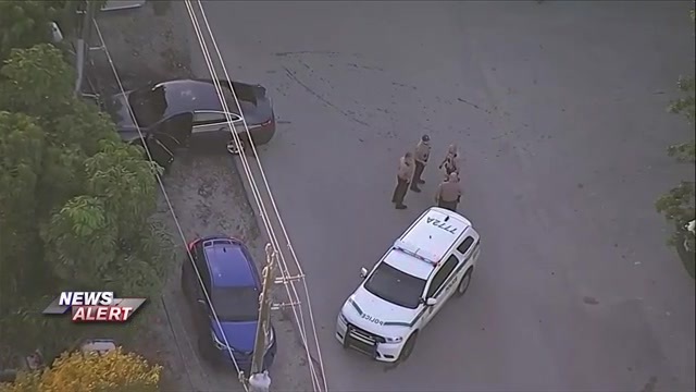 Son in custody, father hospitalized after stabbing in NW Miami-Dade home – WSVN 7News | Miami News, Weather, Sports