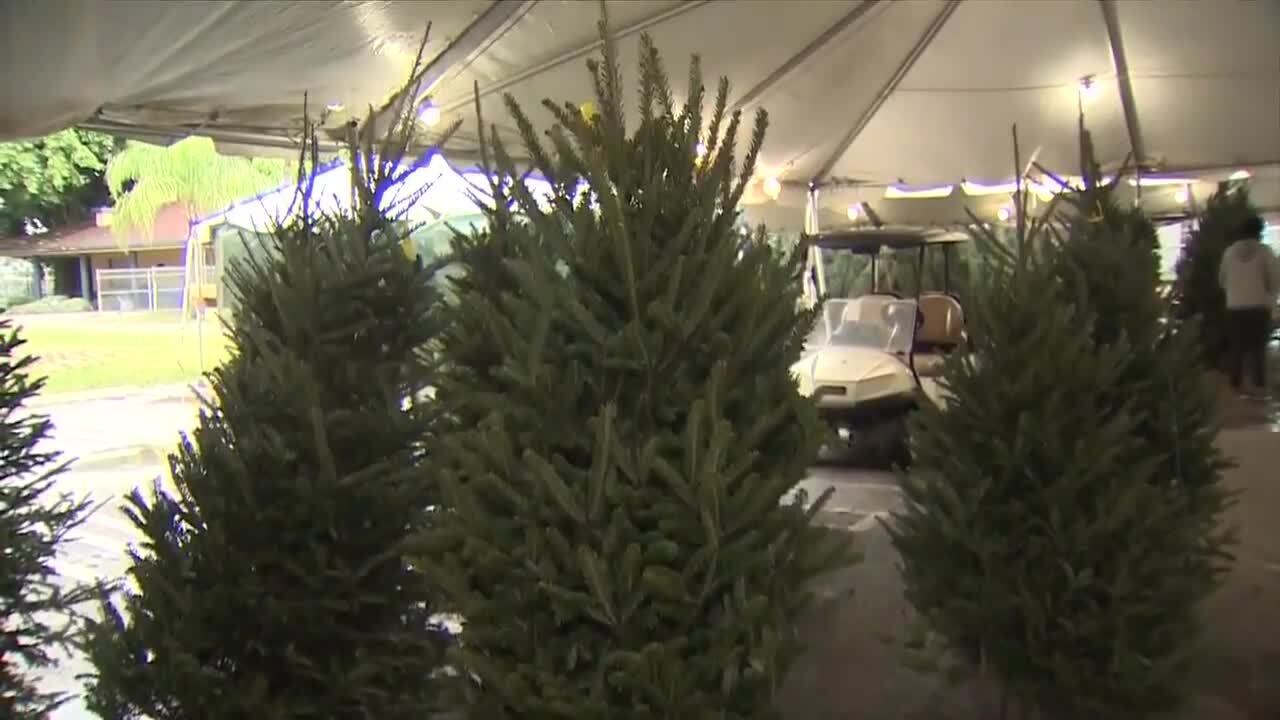 Boys and Girls Club of MiamiDade starts annual Christmas tree sale in