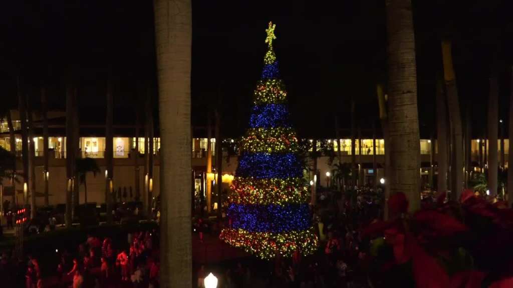Lights illuminate Merrick Park Christmas tree in Coral Gables WSVN