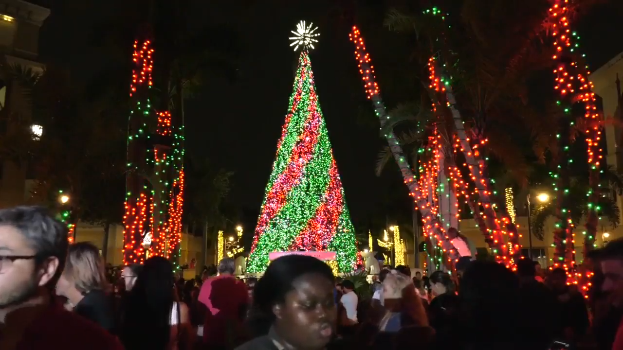 Gulfstream Park’s annual light show kicks off WSVN 7News Miami News