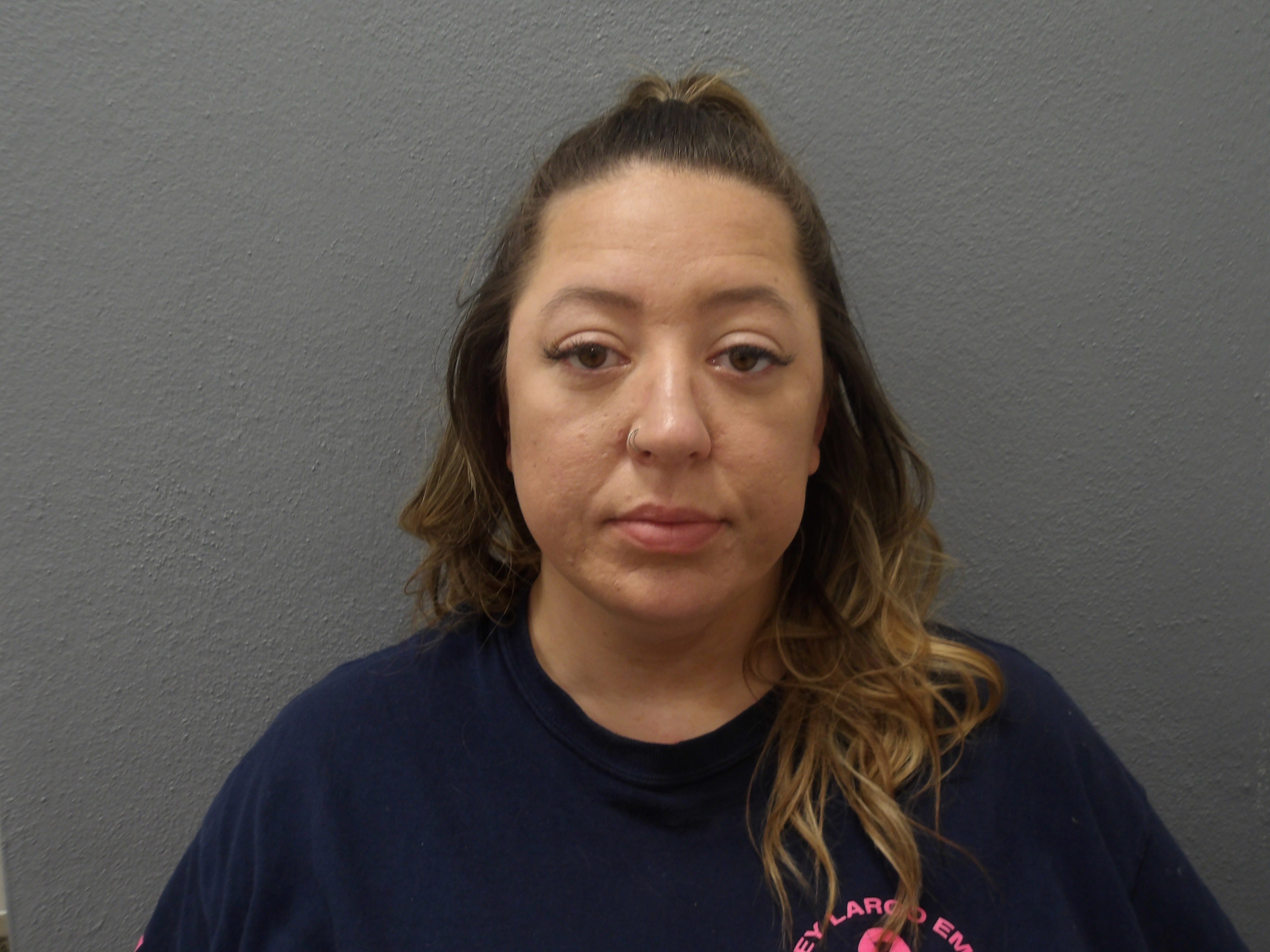 Florida City woman arrested for pointing gun during road rage incident ...