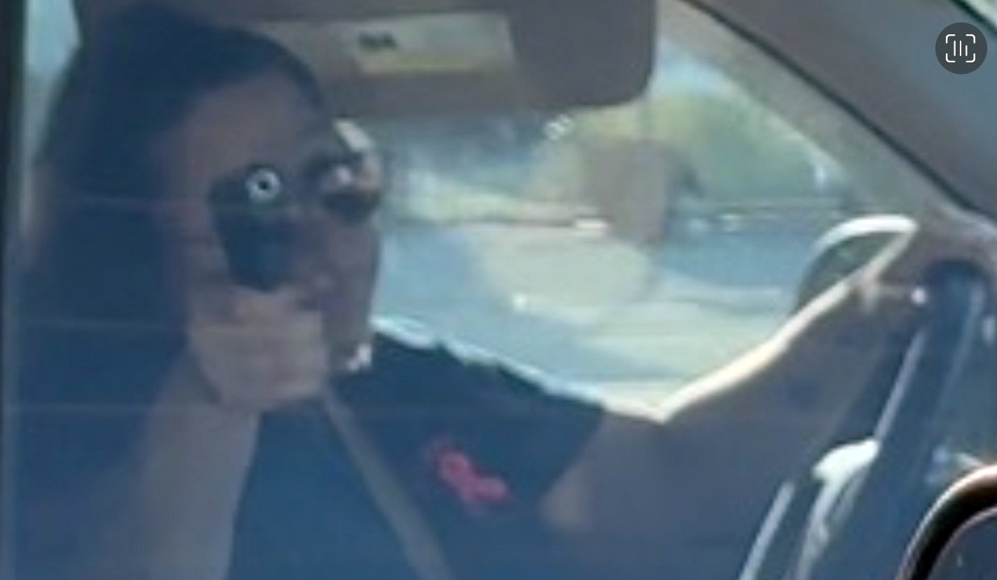 Florida City woman arrested for pointing gun during road rage incident ...