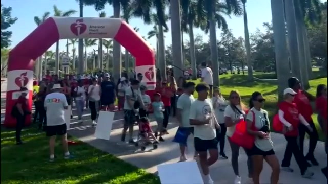 Hundreds walk for heart health awareness at Miami-Dade Heart Walk – WSVN 7News | Miami News, Weather, Sports