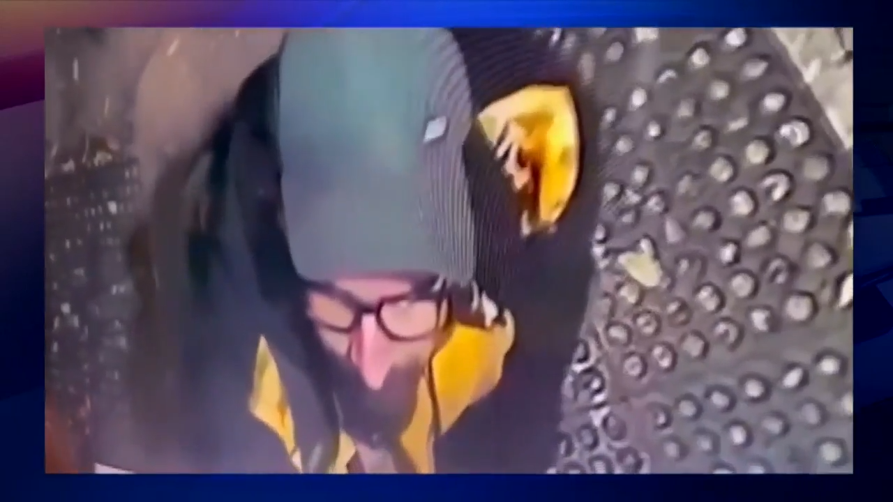 Burglar caught on camera breaking into West Miami-Dade pet salon - WSVN ...