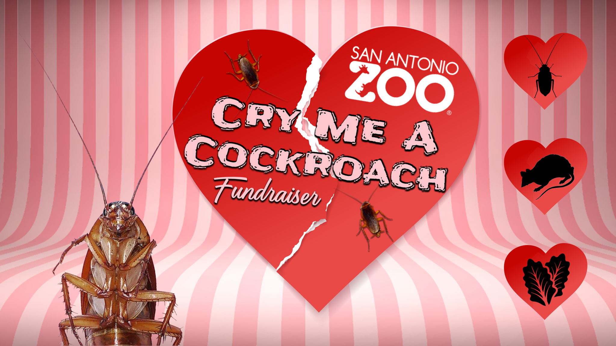 Valentine’s Day fundraiser lets you name a cockroach after your ex and