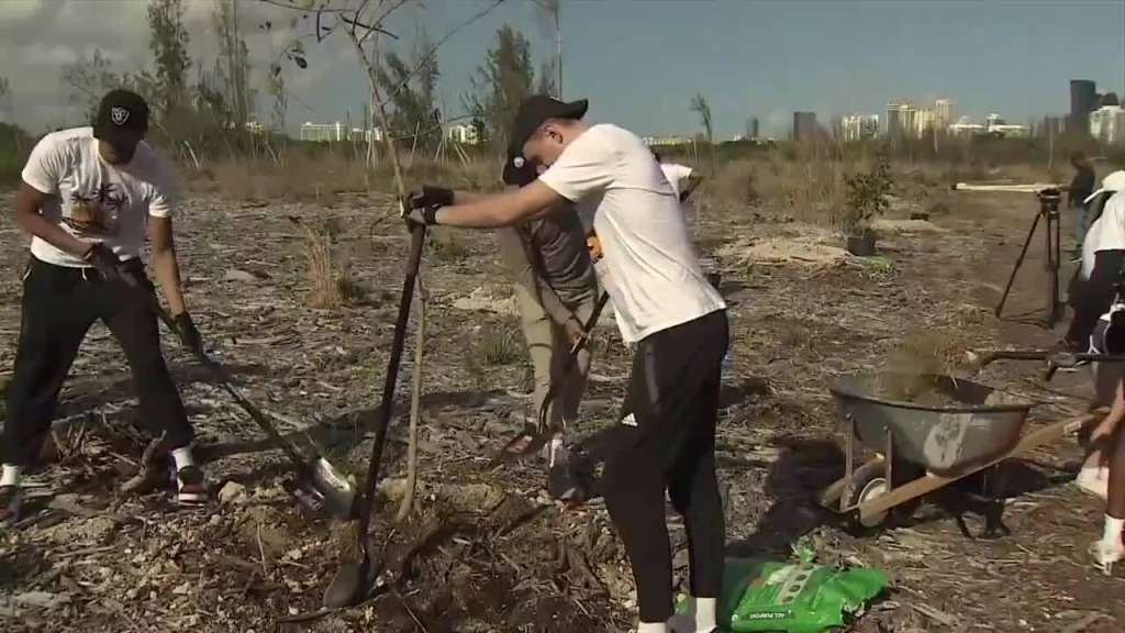 Miami Warmth players support group plant trees in Oleta River State Park