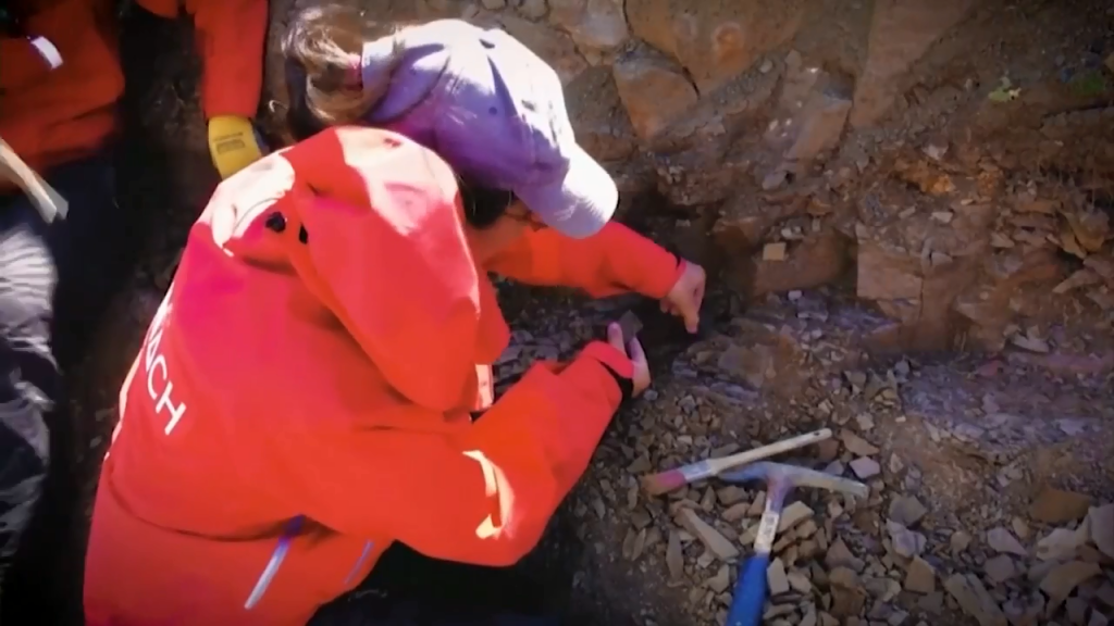 Researchers in Chile discover Megaraptors, feathered dinosaurs in