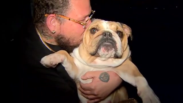 Dog that went missing after Miami Gardens shooting reunited with owner; worker at KFC where French Montana ran speaks out – WSVN 7News | Miami News, Weather, Sports