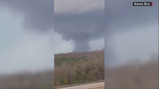 Storms, tornadoes slam US South, killing at least 7 people - WSVN 7News ...