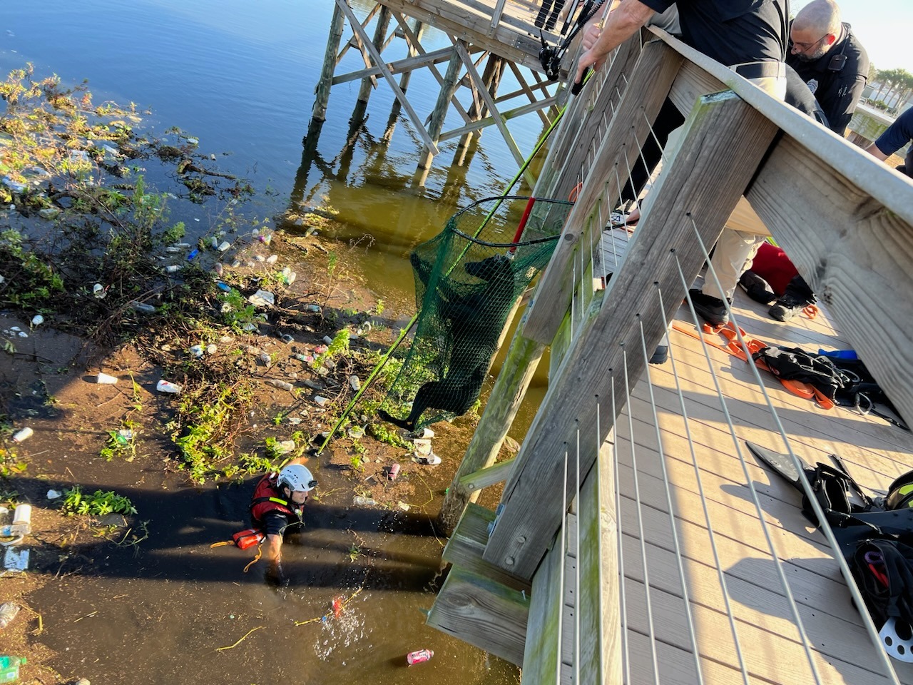 Dog rescued after being stranded in pond WSVN 7News Miami News