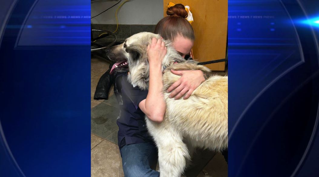 Lilo, the dog found abandoned with heartbreaking note, has been