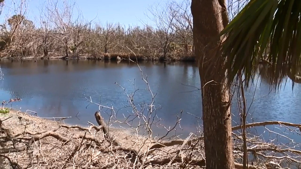 Experts discuss longterm effects of Hurricane Ian on Florida ponds