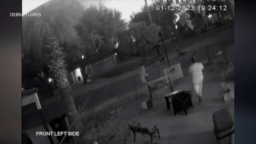 81-year-old man dies after dog attack in San Antonio; suspect arrested