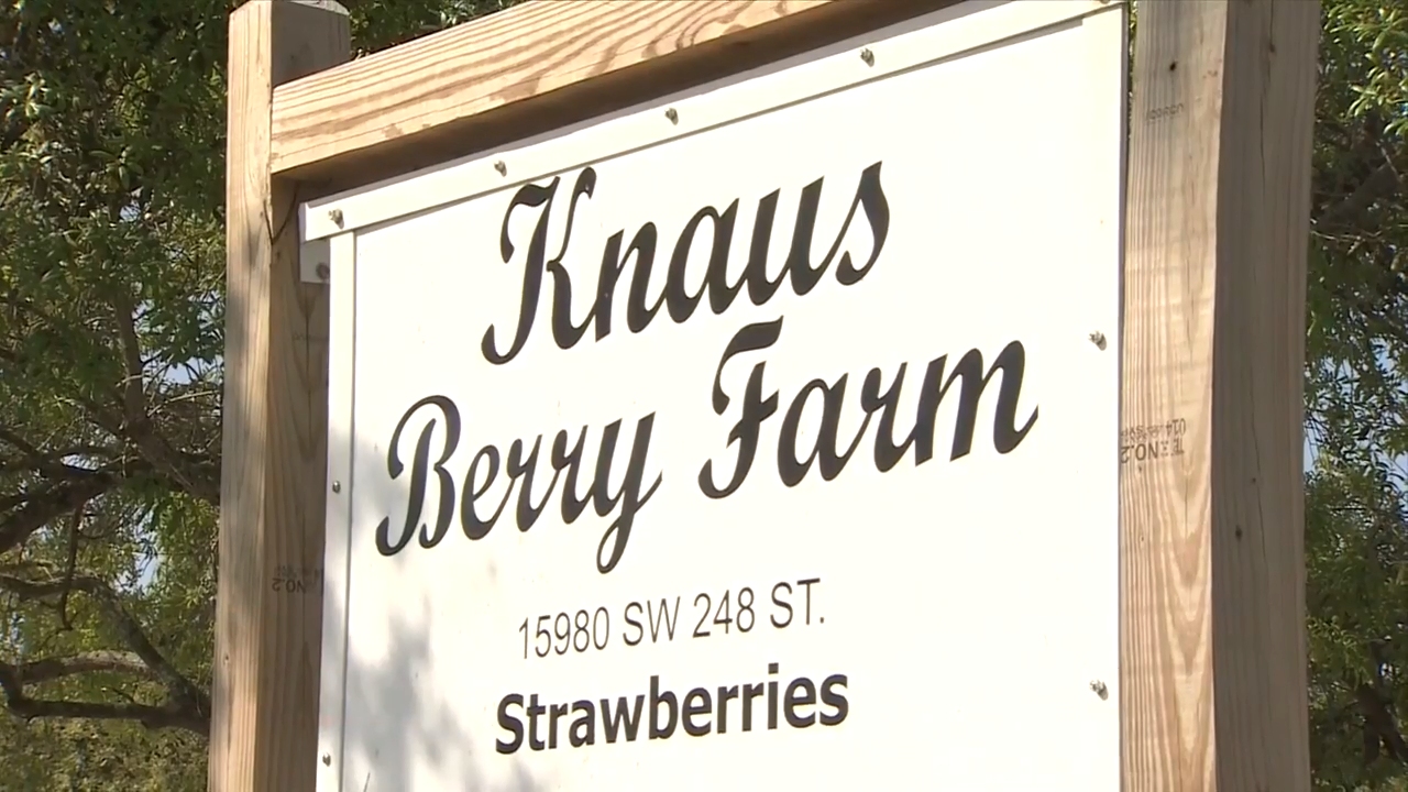 Community mourns for Knaus Berry Farm owner Rachel Knaus after she dies