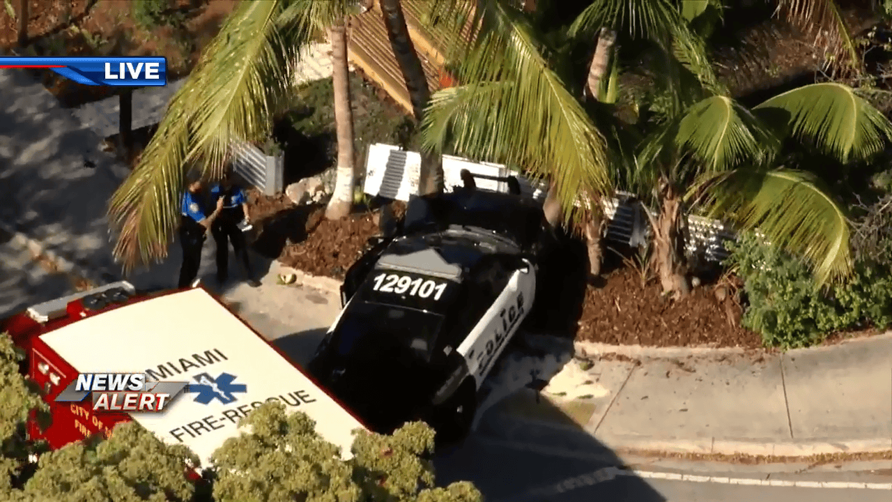Miami-Dade Schools Police officer crashes into tree in Miami - WSVN ...