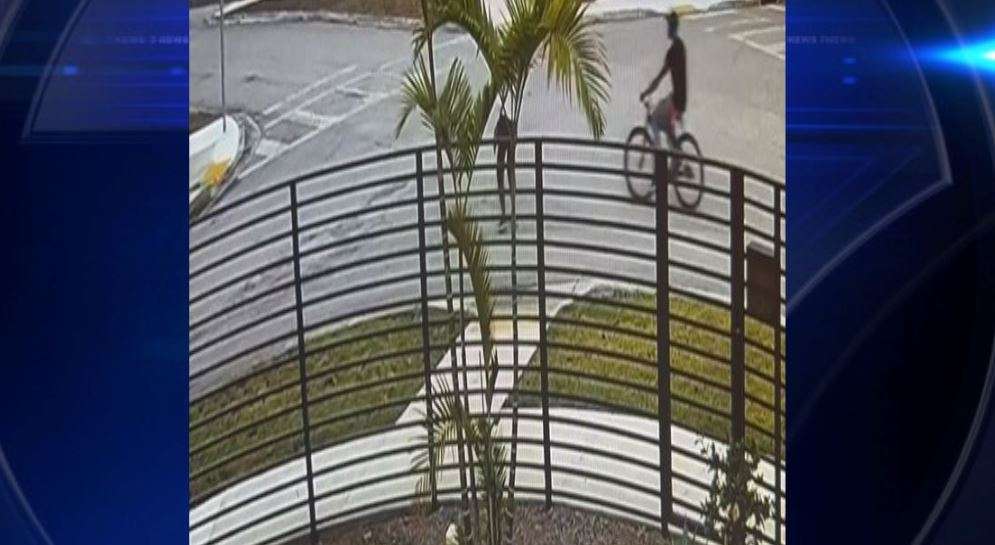 Police search for suspect accused of stealing purse from elderly woman ...