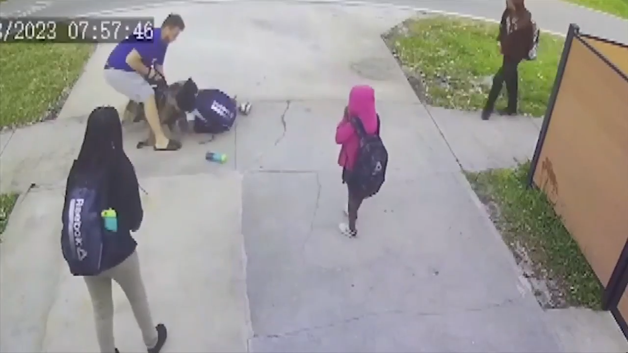 Video released showing dog attack on 10yearold boy in Miami Shores