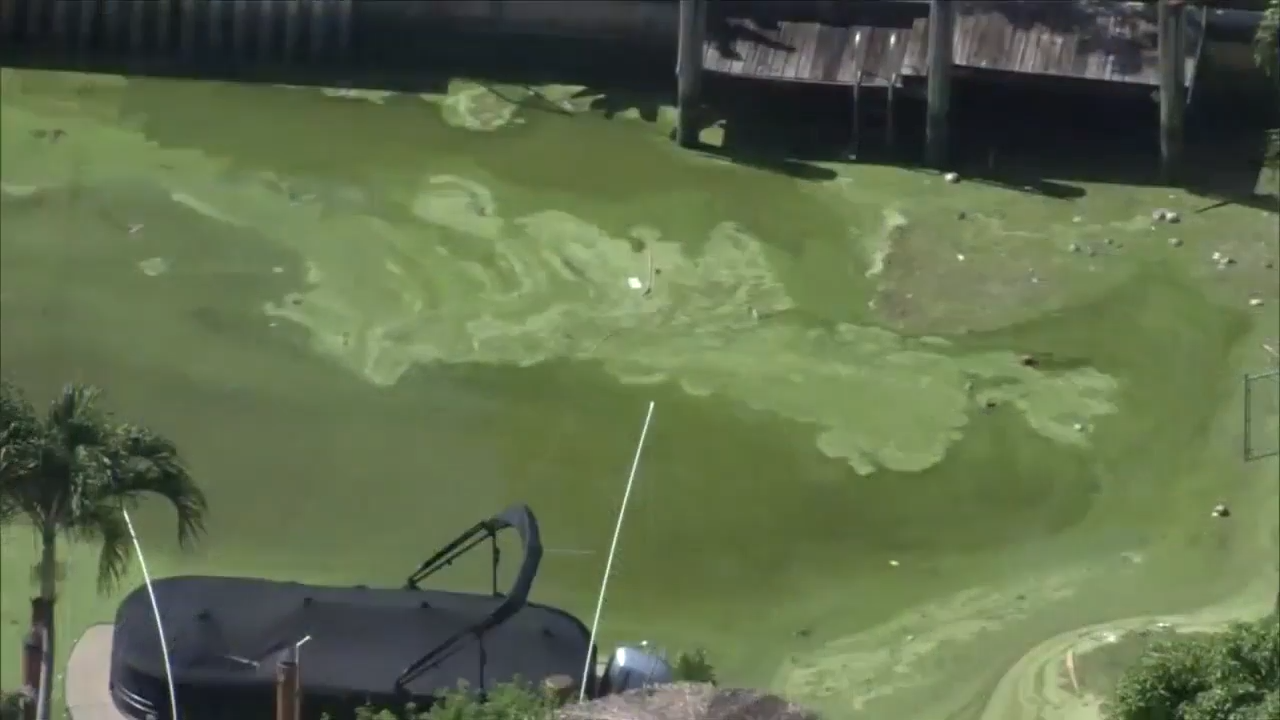 Scientists investigating health effects of airborne toxin from blue