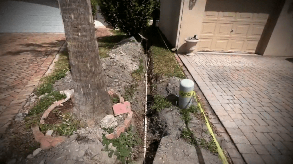 Neighbor's tree causes water leak – WSVN 7News | Miami News, Weather, Sports - Vimarsana News