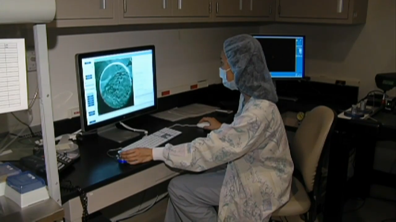 Infertility affects a ‘staggering’ 1 in 6 people worldwide, WHO says ...