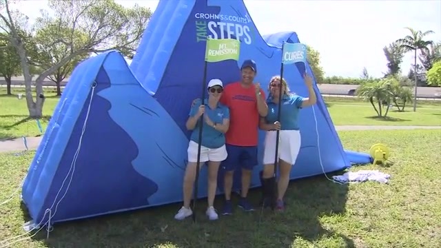 Take Steps Miami event to raise awareness about Crohns and colitis held at Tropical Park