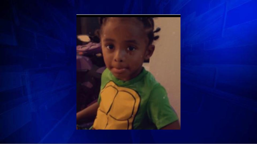Missing 3-year-old Miami boy found safe; search underway for subject - Vimarsana News