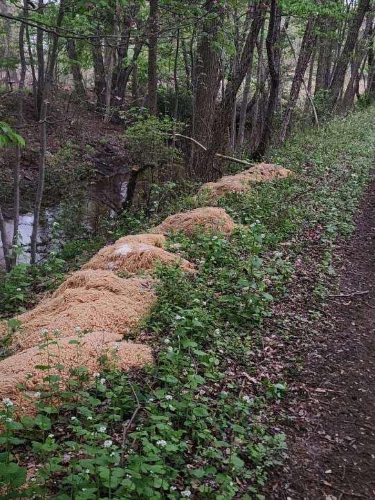 Hundreds of pounds of pasta mysteriously dumped in New Jersey town  WSVN  7News  Miami News Weather Sports  Fort Lauderdale