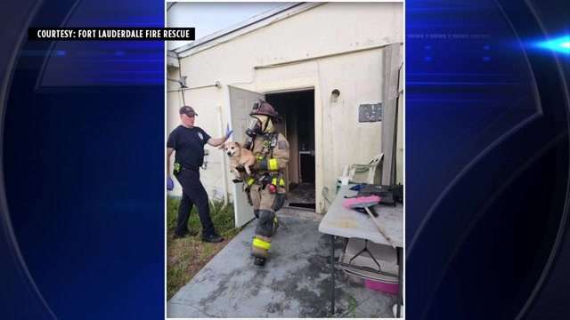 Crews rescue 2 dogs from burning house in Fort Lauderdale - WSVN 7News ...