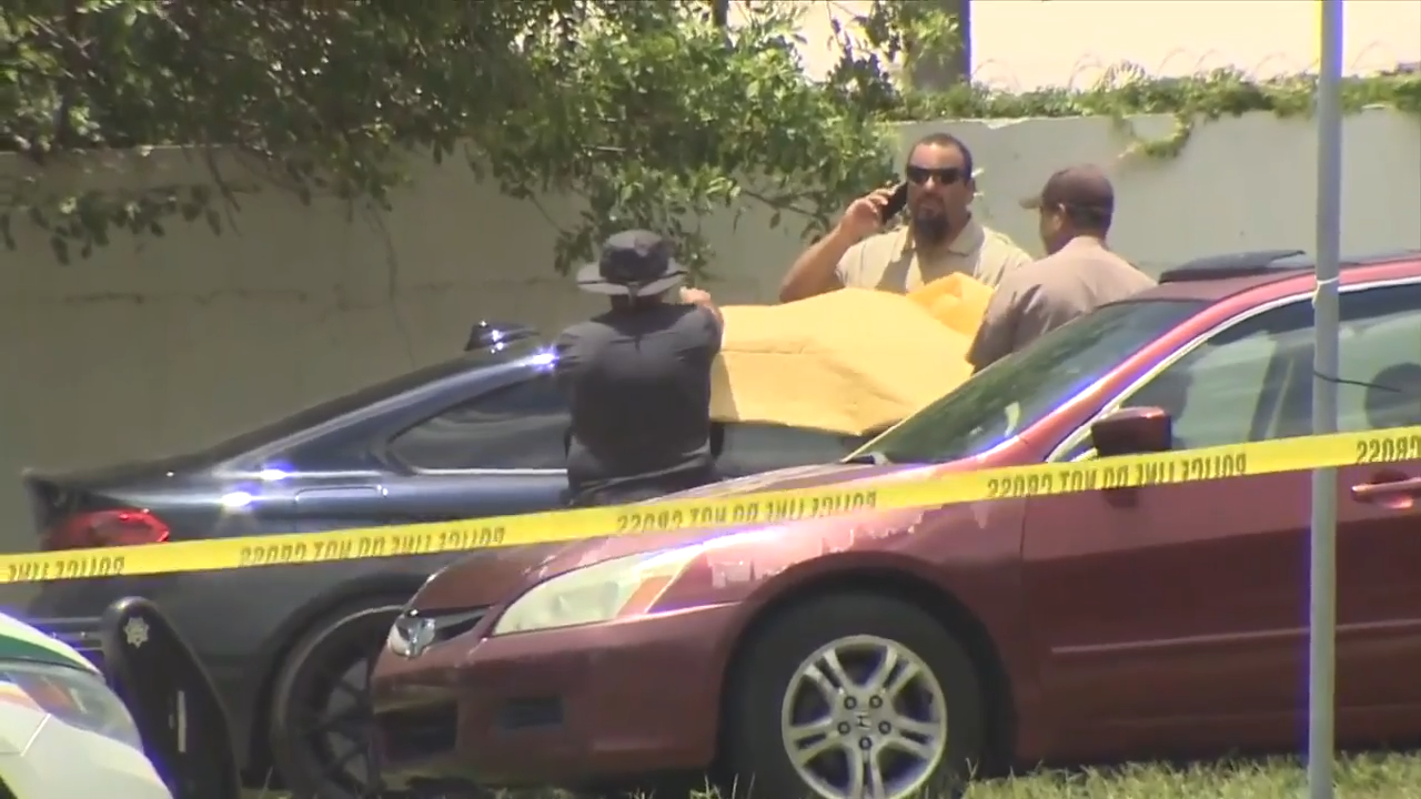 Officer discharges firearm after license plate reader flags stolen car