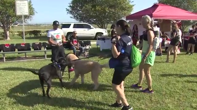 Good Karma Pet Rescue BSO team up for Runnin for Rescues 5K in Pompano Beach