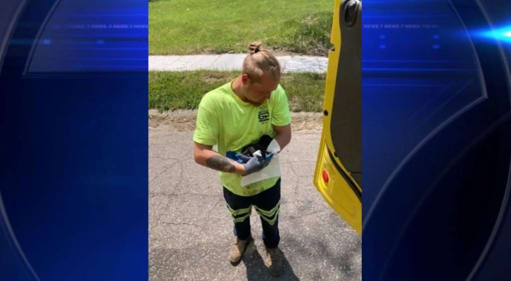 Worker rescues discarded 2-week-old puppy from garbage truck - Vimarsana News
